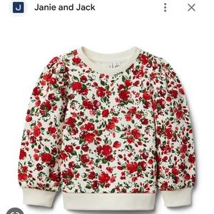 Toddler Janie and jack Sweat suit - Red Floral